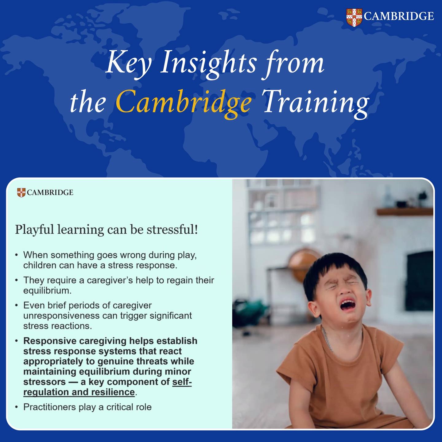 651303000 971511949161681 8884450318540075095 n