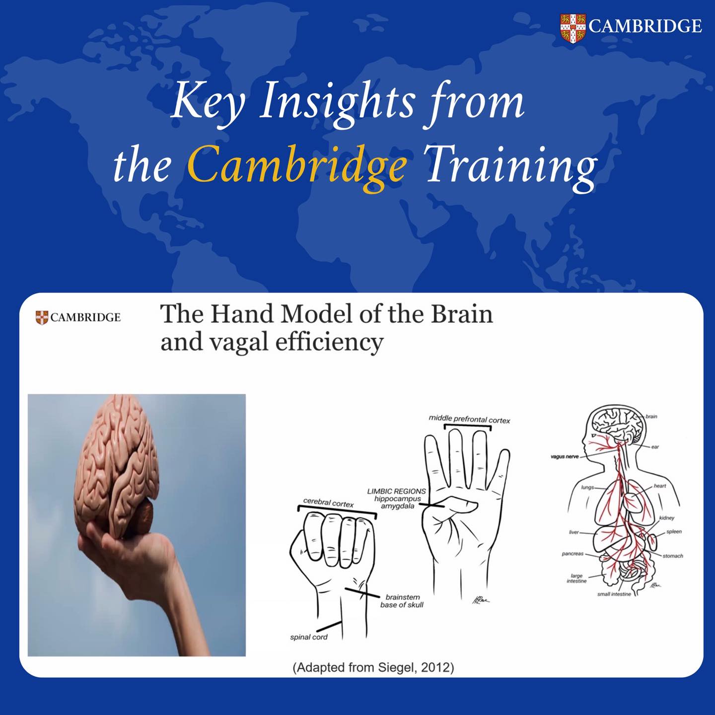 651698593 971511835828359 2913141044457243862 n