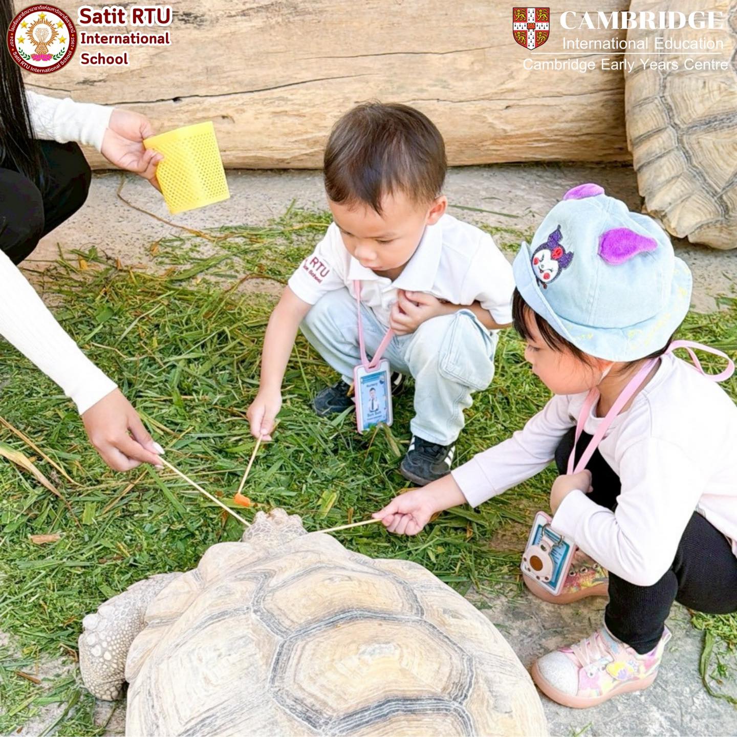 590919094 885108197802057 4181279514413780969 n