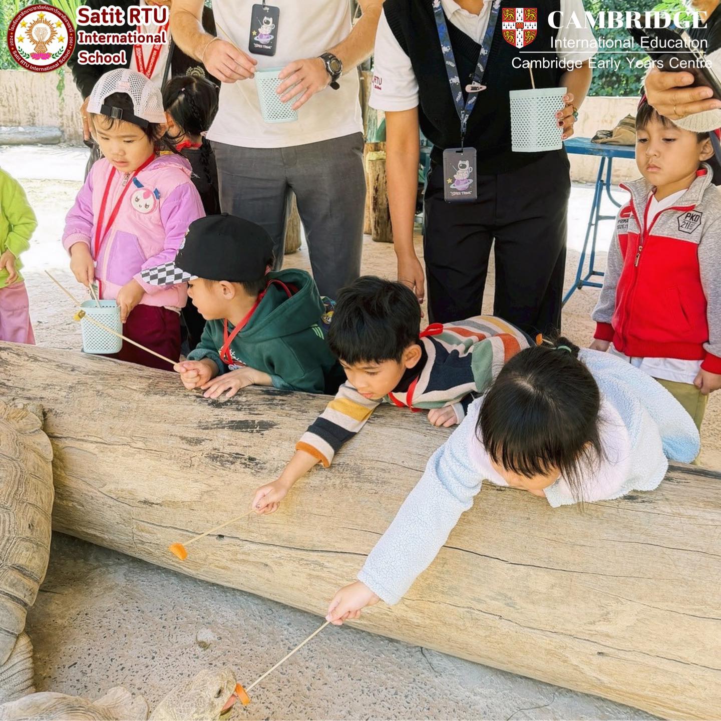 592885556 885108017802075 8017212736180432626 n